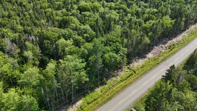 Highway 5 — photo 4