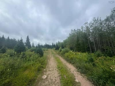 Hardwood Lake Road #Lot A — photo 3