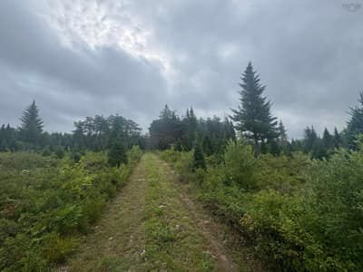 Hardwood Lake Road #Lot A — photo 4