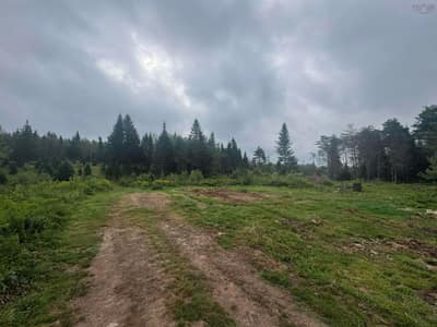 Hardwood Lake Road #Lot A — photo 5