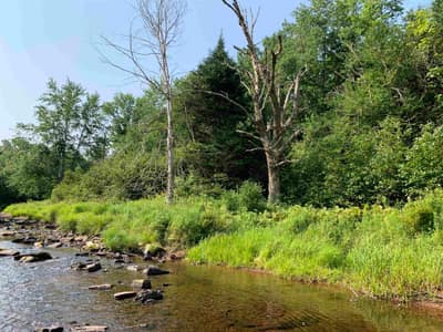 Hunter Road #Lot 4A — photo 4