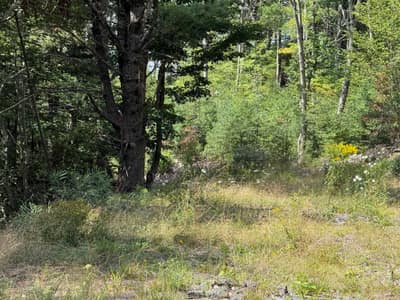 East Clifford Road #Lot 109 — photo 4