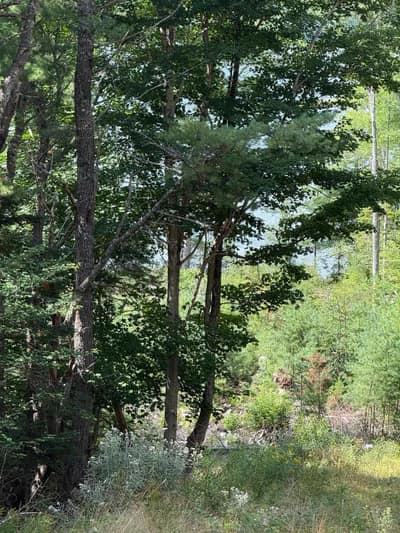 East Clifford Road #Lot 109 — photo 5