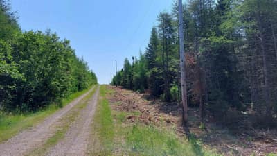 Helmuts Lane #Lot 20 — photo 4