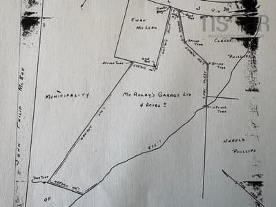 Old Margaree Road — photo 3