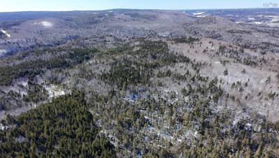 Larry's River Road #Lot 1 — photo 3