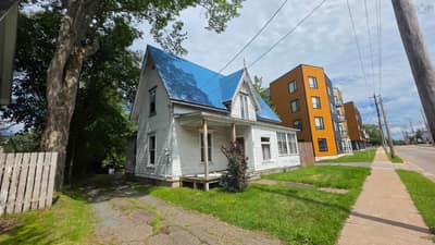 203 Queen Street — photo 4